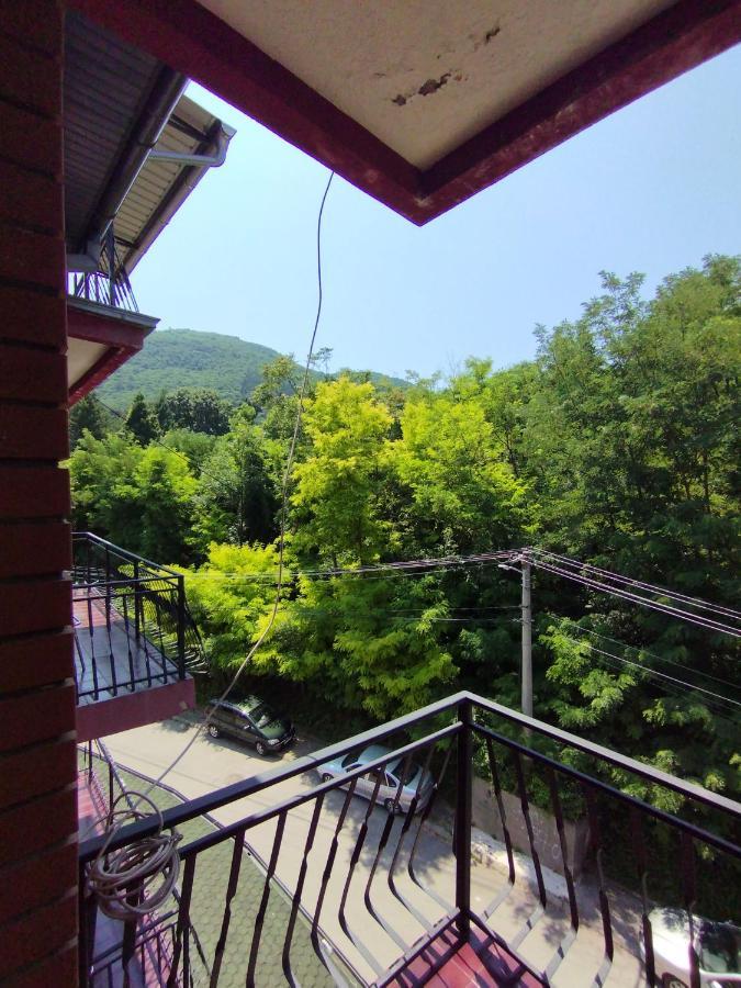 Vila Marko Niska Banja Exterior foto